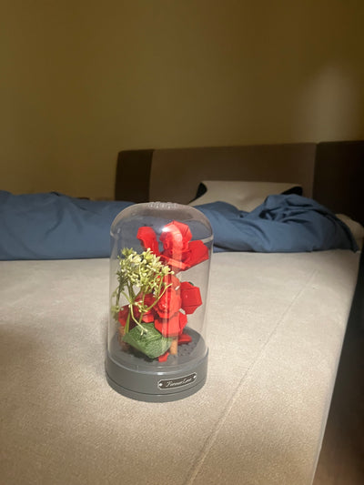 Customer review photo